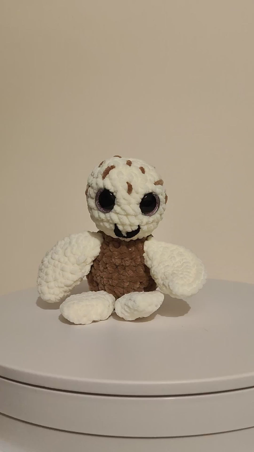 Schildkröte